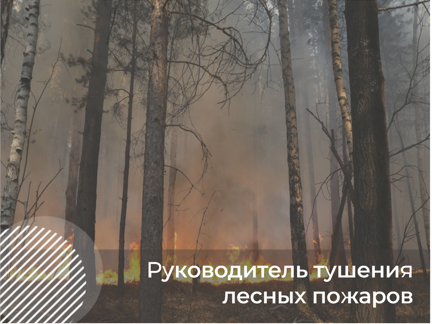 Фото курса Руководитель тушения  крупных лесных пожаров