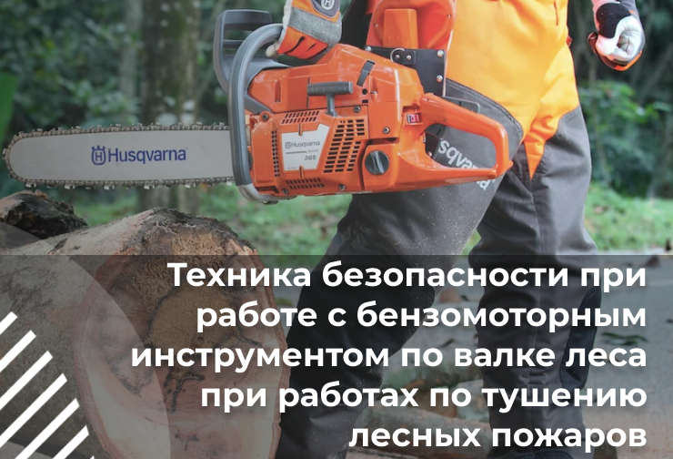 Фото курса Техника безопасности при работе с бензомоторным инструментом по валке леса  при работах по тушению лесных пожаров