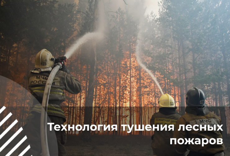 Фото курса Технология тушения лесных пожаров