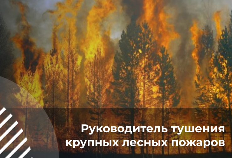 Фото курса Руководитель тушения крупных лесных пожаров